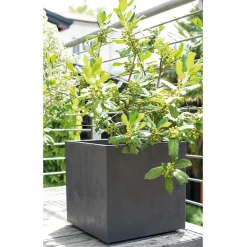 DEROMA - Bac cubo Millennium, à réserve d'eau, coloris anthracite - L.39cm