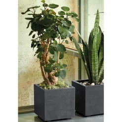 DEROMA - Bac cubo Millennium, à réserve d'eau, coloris anthracite - L.25cm