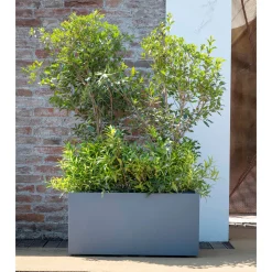 DEROMA - Bac muret Millennium, à réserve d'eau, coloris ashgrey - L.79cm