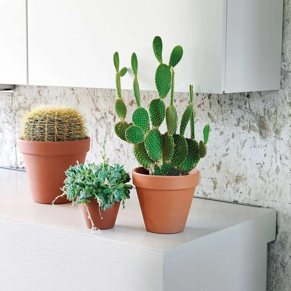 DEROMA - Pot Horticole en terre cuite Ø 31,5 x H. 27,6cm