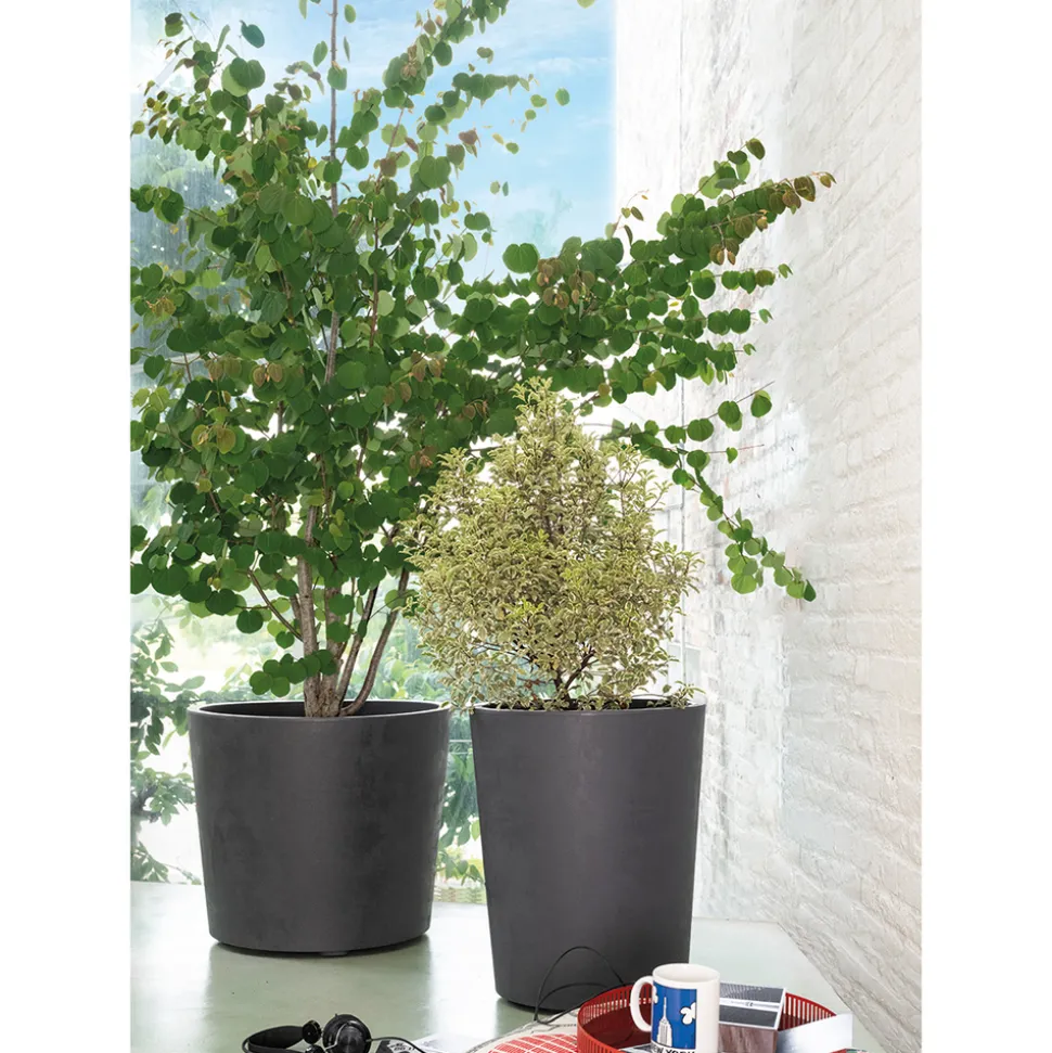 DEROMA - Pot Vaso Millennium, à réserve d'eau, coloris anthracite - D.59cm