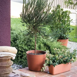 DEROMA - Pot Vaso Origin Cotto, coloris marron - D.29cm