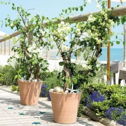 DEROMA - Vase Conico Primitivo White en terre cuite Ø 43 x H. 41cm