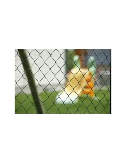 DIRICKX INDUSTRIES - Grillage simple torsion plastex premier 5024 vert 1m00-25ml