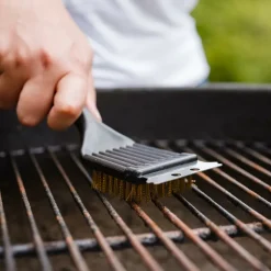 DOWNYPAWS - 2 brosses à pointe de gril