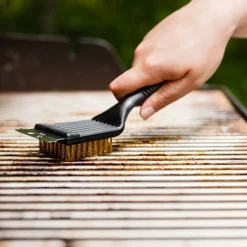 DOWNYPAWS - 2 brosses à pointe de gril