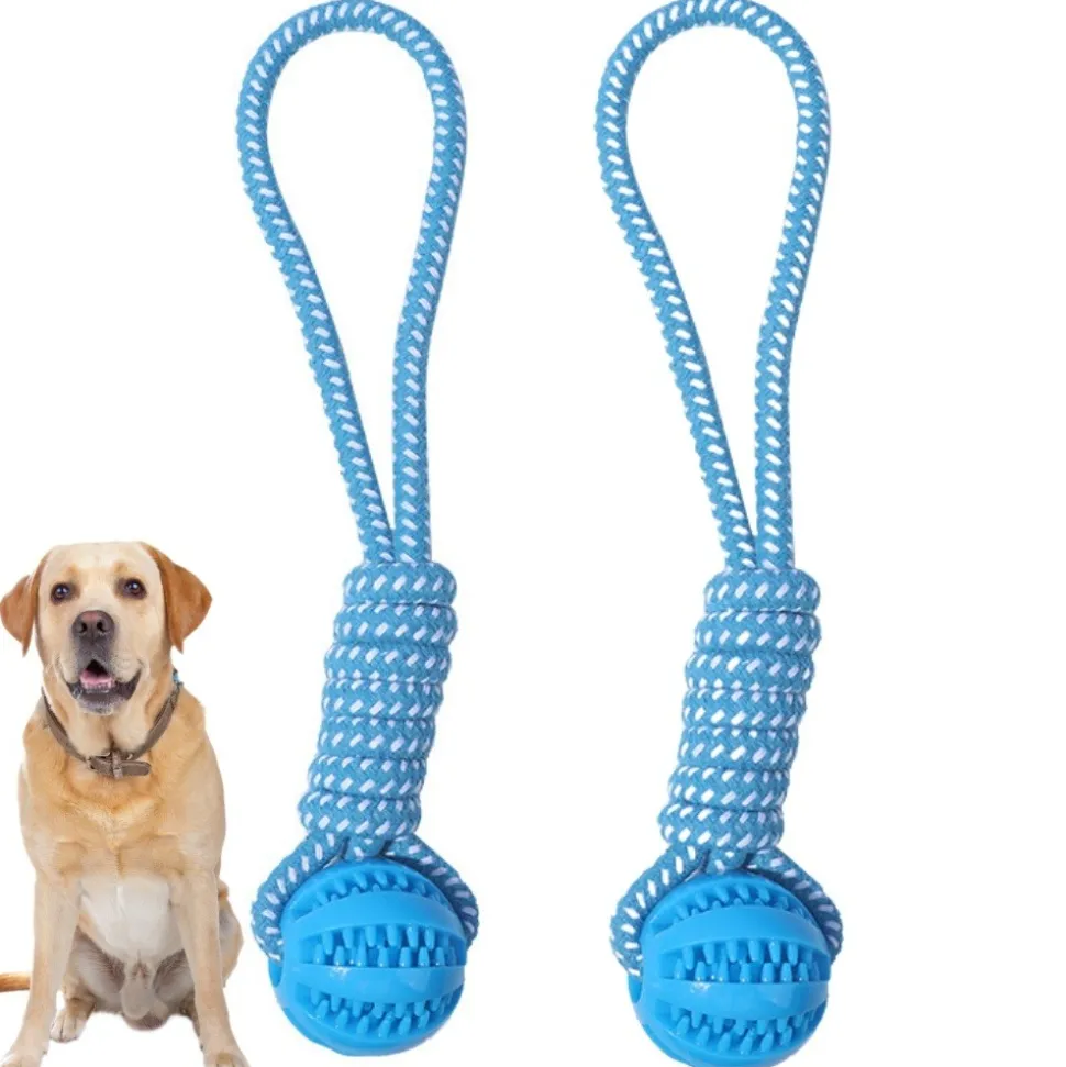 DOWNYPAWS - 2 pièces jouets de tir à