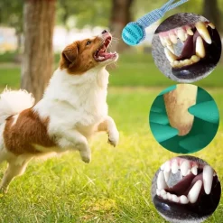 DOWNYPAWS - 2 pièces jouets de tir à