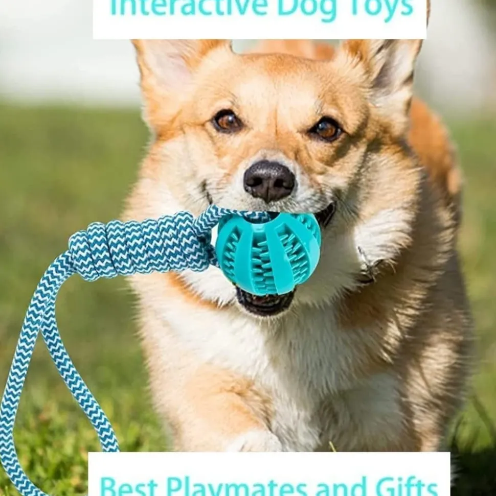 DOWNYPAWS - 2 pièces jouets de tir à