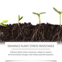 DOWNYPAWS - 2 sachets de poudre d'enracinement pour plantes