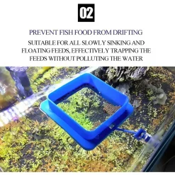 DOWNYPAWS - Anneau d'alimentation flottant pour aquarium - anti - dispersion, pour petits poissons tropicaux