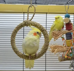 DOWNYPAWS - Balançoire à anneau en paille pour perroquet - support pour cage à oiseaux hamac à poteau
