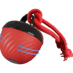 DOWNYPAWS - Balle interactive pour chien