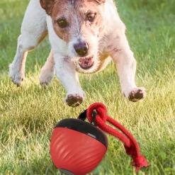 DOWNYPAWS - Balle interactive pour chien