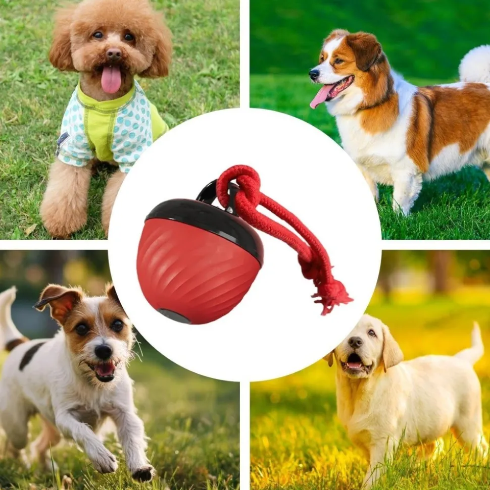 DOWNYPAWS - Balle interactive pour chien