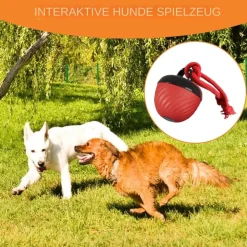 DOWNYPAWS - Balle interactive pour chien