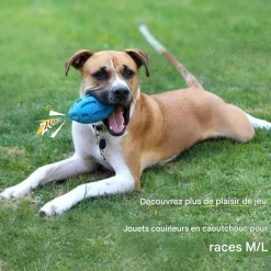 DOWNYPAWS - Balle jouet pour chien-jouet pour chien balle en caoutchouc-jouets interactifs-football bleu