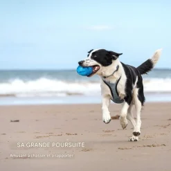 DOWNYPAWS - Balle jouet pour chien-jouet pour chien balle en caoutchouc-jouets interactifs-football bleu