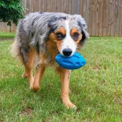 DOWNYPAWS - Balle jouet pour chien-jouet pour chien balle en caoutchouc-jouets interactifs-football bleu