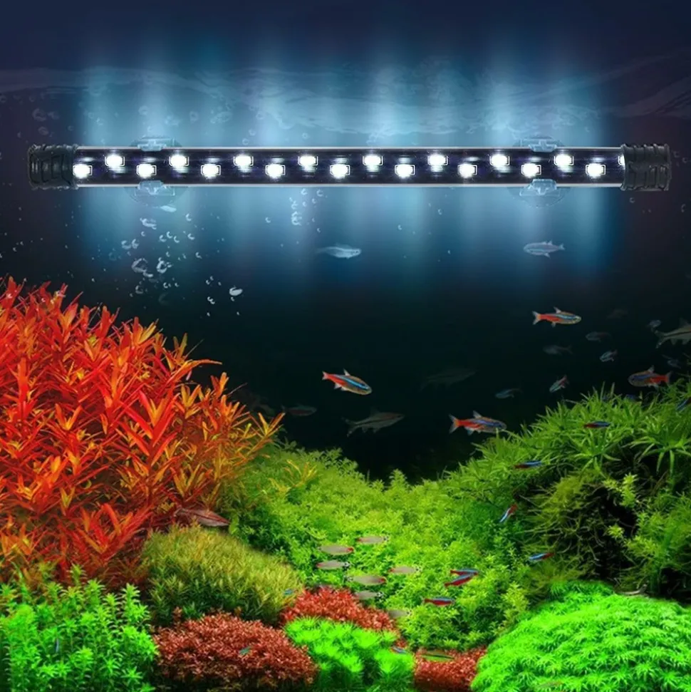 DOWNYPAWS - Bande led submersible pour aquarium - éclairage étanche s