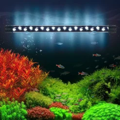 DOWNYPAWS - Bande led submersible pour aquarium - éclairage étanche m