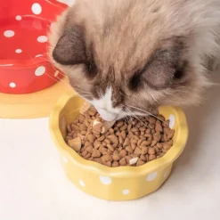 DOWNYPAWS - Bol céramique pour chat - anti-bascule & hygiénique