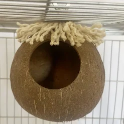 DOWNYPAWS - Boîte d'oiseau en coque de noix de coco pour la reproduction et la décoration type à vis