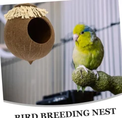 DOWNYPAWS - Boîte d'oiseau en coque de noix de coco pour la reproduction et la décoration type à vis