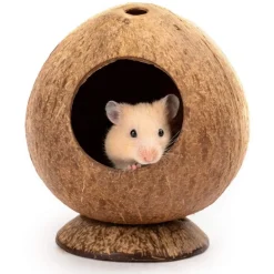 DOWNYPAWS - Boîte d'oiseau en coque de noix de coco pour la reproduction et la décoration type sur pied