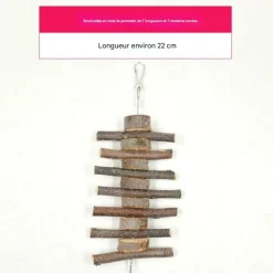 DOWNYPAWS - Boucles de bois de pomme pour rongeurs, snacks et jouets de mastication