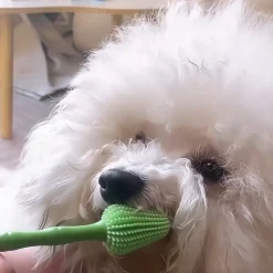 DOWNYPAWS - Brosse à dents 360° en silicone souple pour chiens