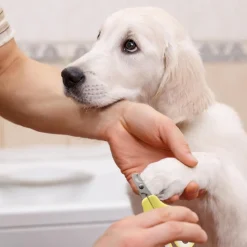DOWNYPAWS - Brosse de toilettage pour chien et chat ensemble trois pièces- jaune