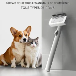 DOWNYPAWS - Brosse pour chiens et chats-peigne pour animaux de compagnie- blanc