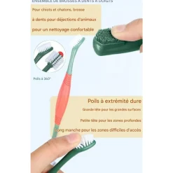 DOWNYPAWS - Brosses à dents dentifrice pour animaux saveur de bœuf-brosse à dents et dentifrice pour chien-hygiène bucco-dentaire-70g