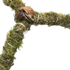 DOWNYPAWS - Bâton de mousse flexible 30 cm pour les crabes d'ermite jouet de grimpe