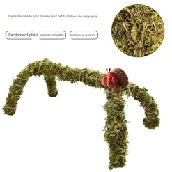 DOWNYPAWS - Bâton de mousse flexible 30 cm pour les crabes d'ermite jouet de grimpe