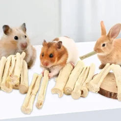 DOWNYPAWS - Bâtonnets à mâcher - friandises dentaires pour petits animaux
