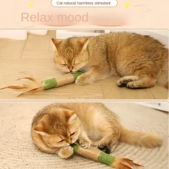 DOWNYPAWS - Bâtonnets de dentition à herbe à chat : jouet anti-ennui résistant aux morsures