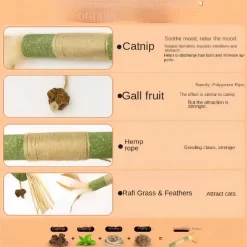 DOWNYPAWS - Bâtonnets de dentition à herbe à chat : jouet anti-ennui résistant aux morsures