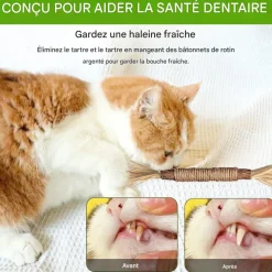 DOWNYPAWS - Bâtonnets herbe à chat 6 pièces 22cm-bâton de dentition pour chat-bon pour la santé dentaire