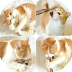 DOWNYPAWS - Bâtonnets herbe à chat 6 pièces 22cm-bâton de dentition pour chat-bon pour la santé dentaire