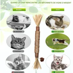 DOWNYPAWS - Bâtonnets herbe à chat 6 pièces 22cm-bâton de dentition pour chat-bon pour la santé dentaire
