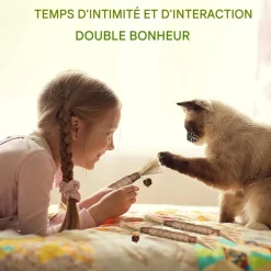 DOWNYPAWS - Bâtonnets herbe à chat 6 pièces 22cm-bâton de dentition pour chat-bon pour la santé dentaire