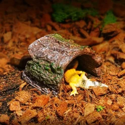 DOWNYPAWS - Cachette en résine pour reptiles