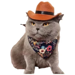 DOWNYPAWS - Chapeau de cowboy pour chat, idéal pour photos