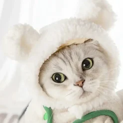 DOWNYPAWS - Chapeau ours pour animaux de compagnie, col règlable