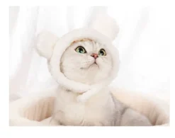 DOWNYPAWS - Chapeau ours pour animaux de compagnie, col règlable