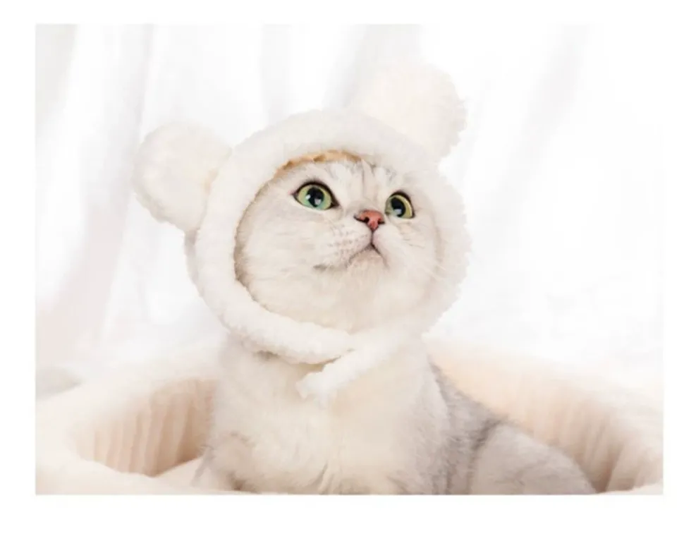 DOWNYPAWS - Chapeau ours pour animaux de compagnie, col règlable