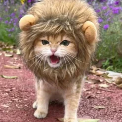 DOWNYPAWS - Coiffe de chapeau de lion mignon pour chiens et chats