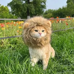 DOWNYPAWS - Coiffe de chapeau de lion mignon pour chiens et chats
